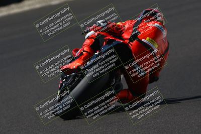 media/Sep-07-2025-CRA (Sun) [[6d6582c22b]]/Race 8/